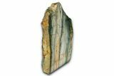 Freestanding Gary Green Jasper (Larsonite) Bog Wood - Oregon #377833-2